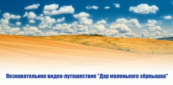 Дар маленького зёрнышка