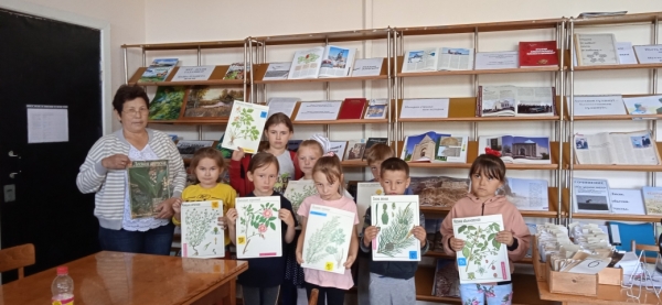 Менің егістіктерімдегі емдік дәріханам