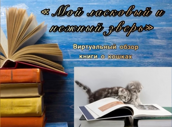«Менің тәтті және нәзік жануарым»